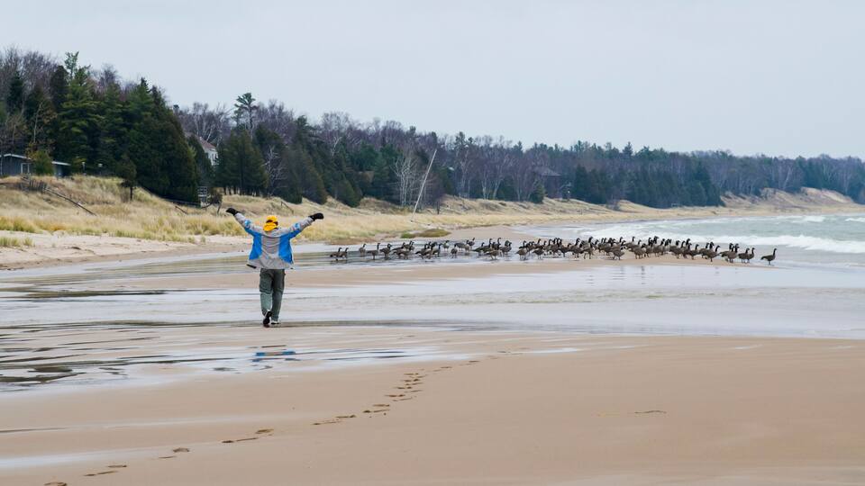 A person on a beach with a flock of birds in the background.