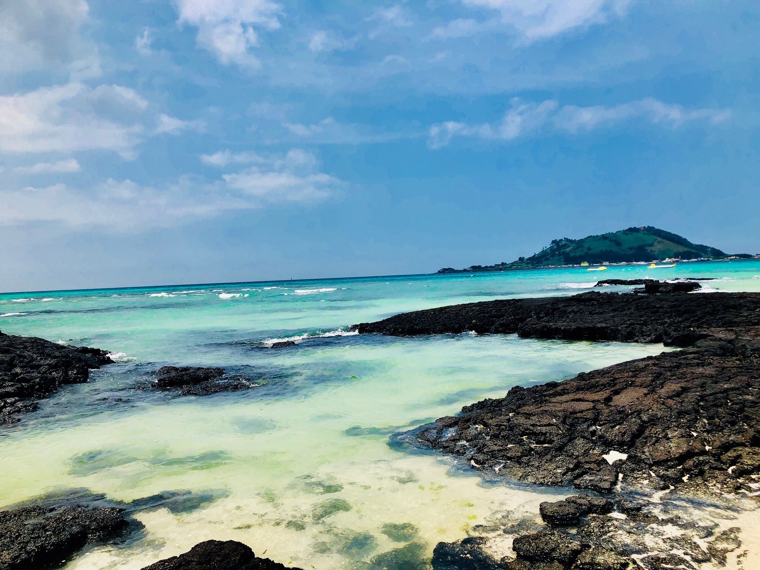 #reef #blue #jejuisland