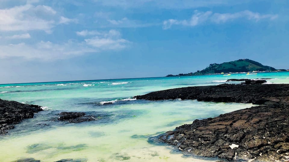 #reef #blue #jejuisland