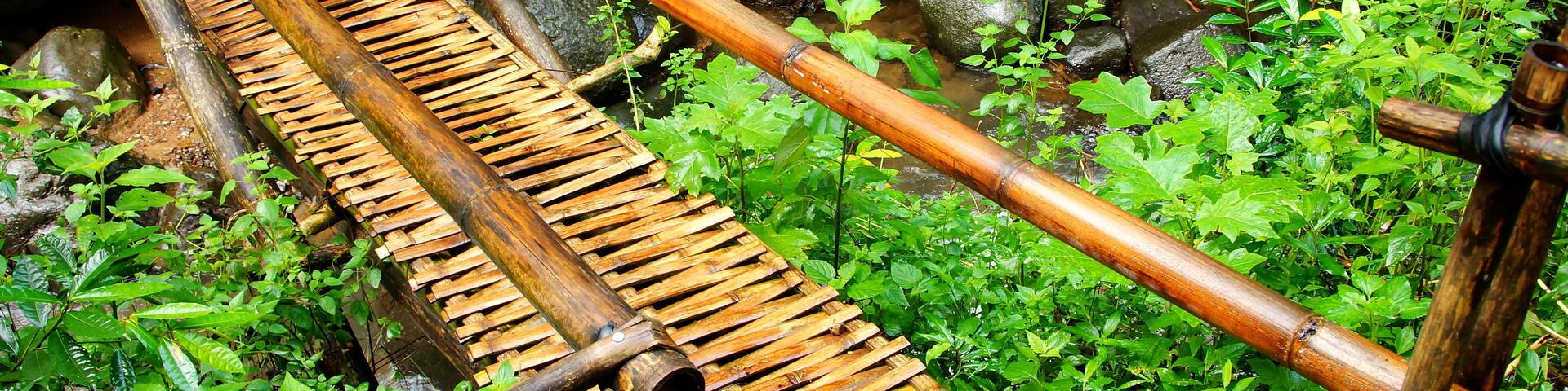 einfache geflochtene Bambusbrücke überspannt Bach im tropischen Regenwald