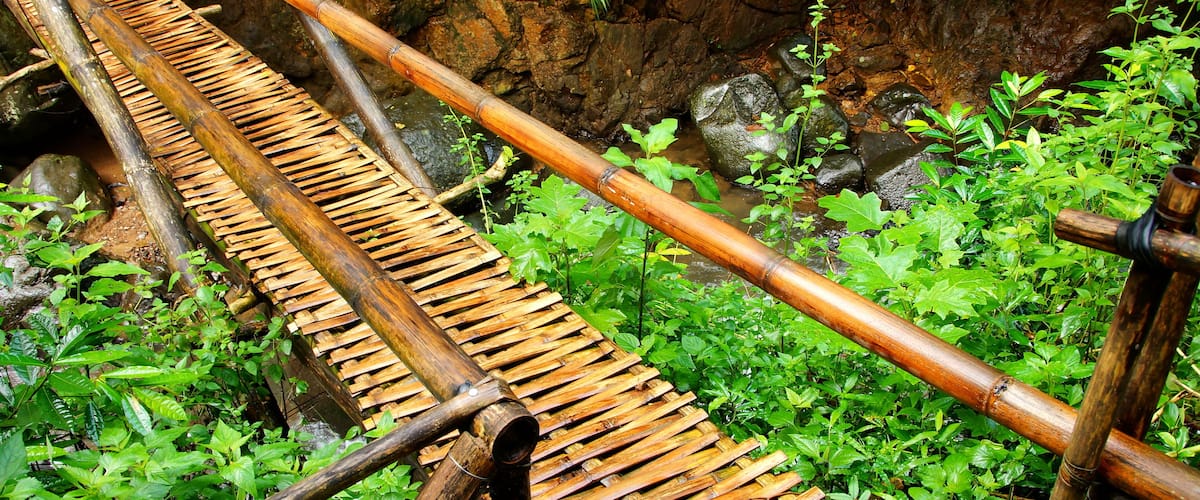 A bamboo bridge over a rocky stream surrounded by lush greenery.