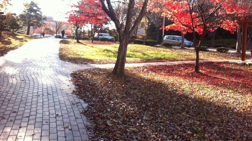 ì ëšëíê” ëìêŽêžžëȘ© #1