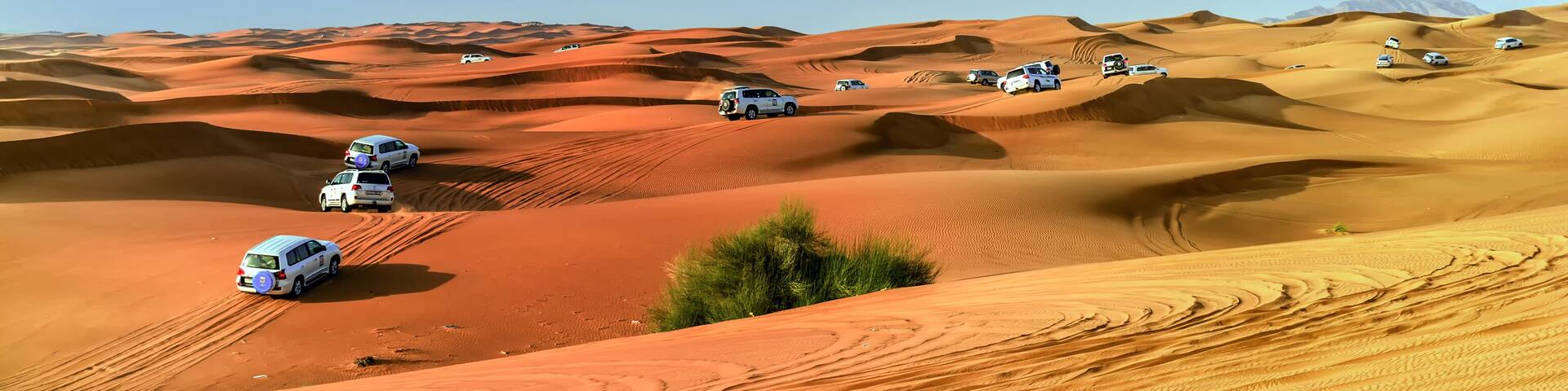 4 by 4 Dune bashing is a popular sport of the Arabian Desert