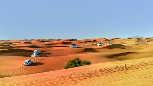 4 by 4 Dune bashing is a popular sport of the Arabian Desert