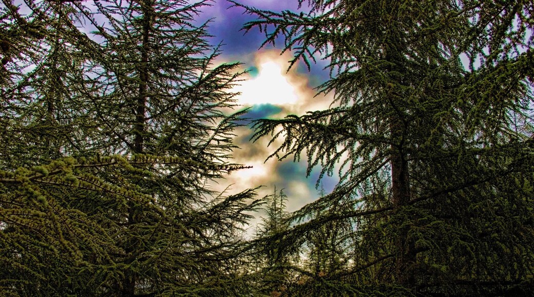 Huétor de Santillán, 18183, Granada, Spain