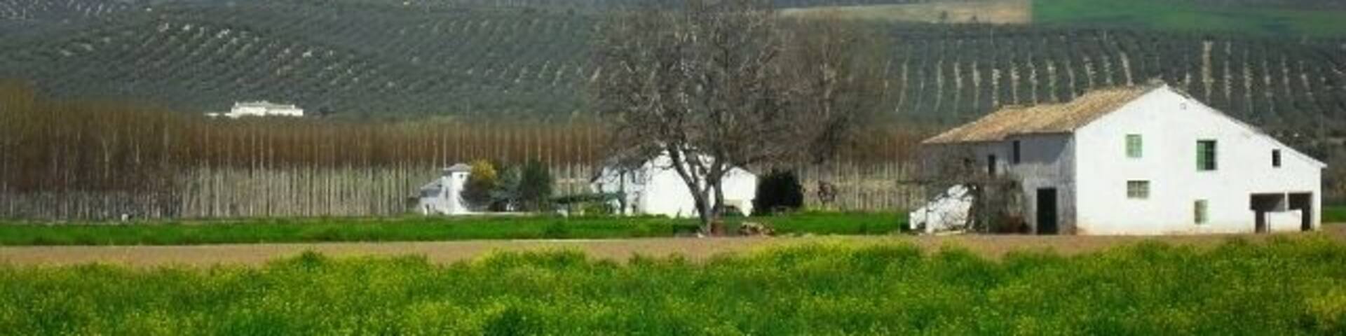 Vista de la Vega de Calardos (Huétor-Tájar)