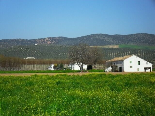 A white building in a field with green crops and hills in the background.