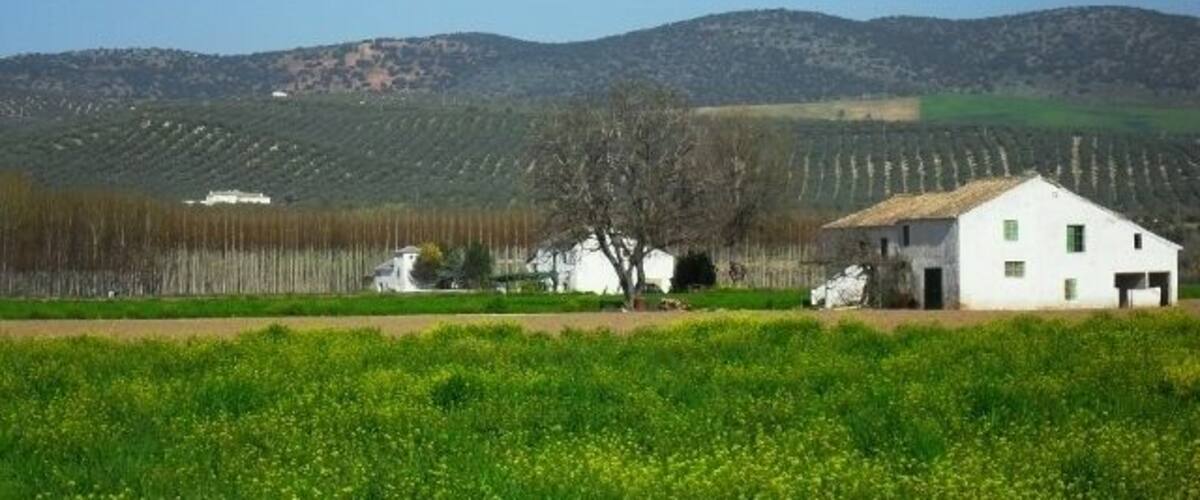 A white building in a field with green crops and hills in the background.