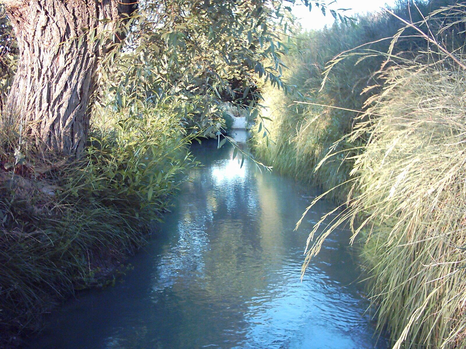 Acequia del Nogueral a su paso por la localidad de Huerta Real, en el municipio de Benamaurel (provincia de Granada, España).