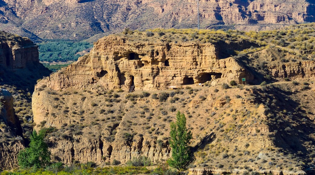 Caves of Tia Micaela in Cortes de Graena, Granada.