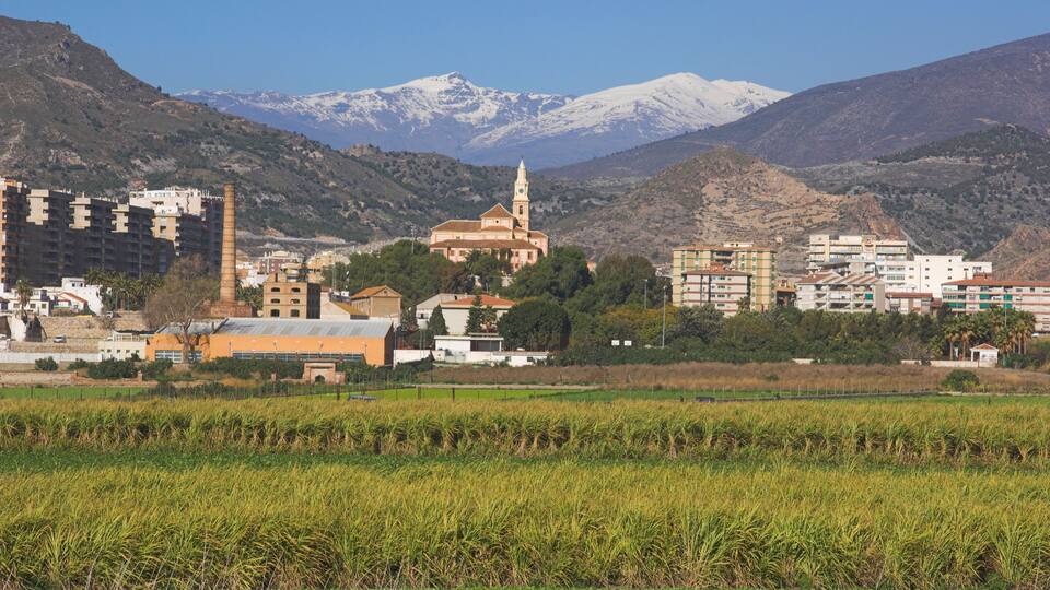 A cityscape with a prominent church, mountains in the background, and agricultural fields in the foreground.