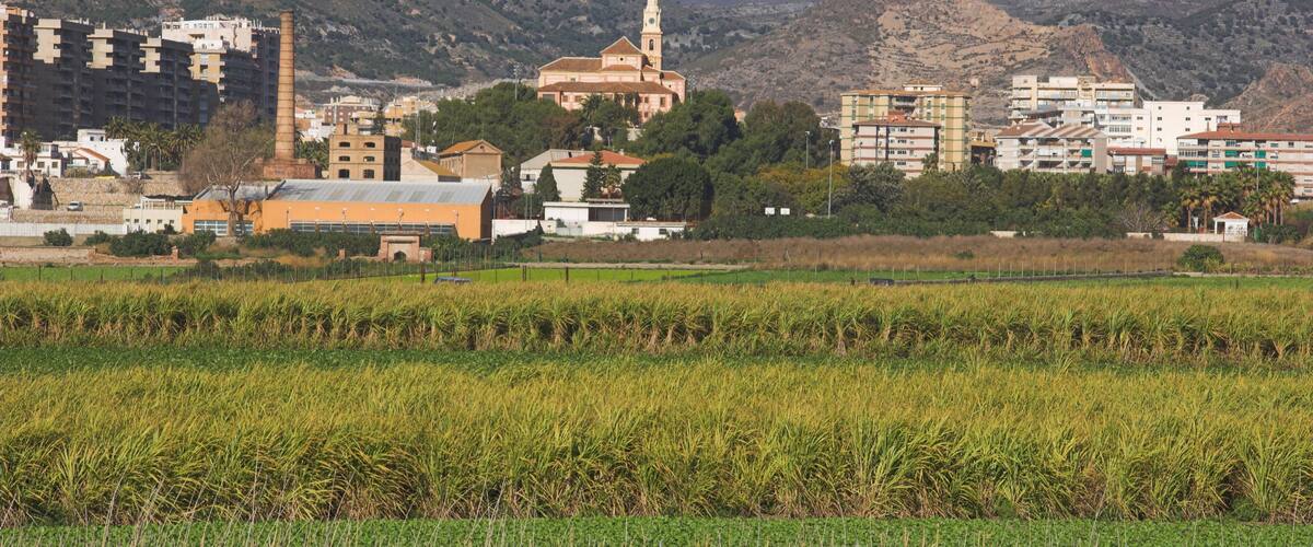 A cityscape with a prominent church, mountains in the background, and agricultural fields in the foreground.