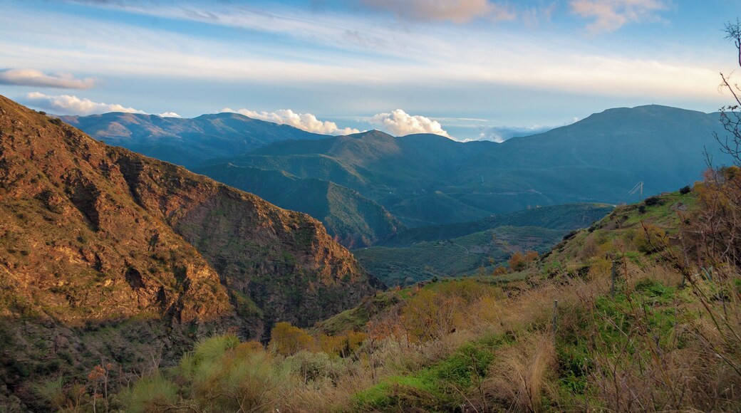 Beautiful landscape on this road to PAMPANERIA,