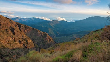 Beautiful landscape on this road to PAMPANERIA,