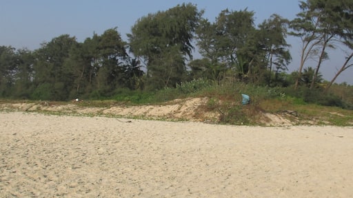 This was in January. The weather was cool and there were miles and miles of area like this.