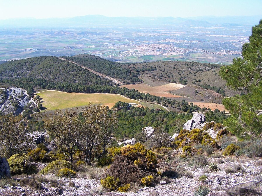 Vistas desde La Silleta del Padul
