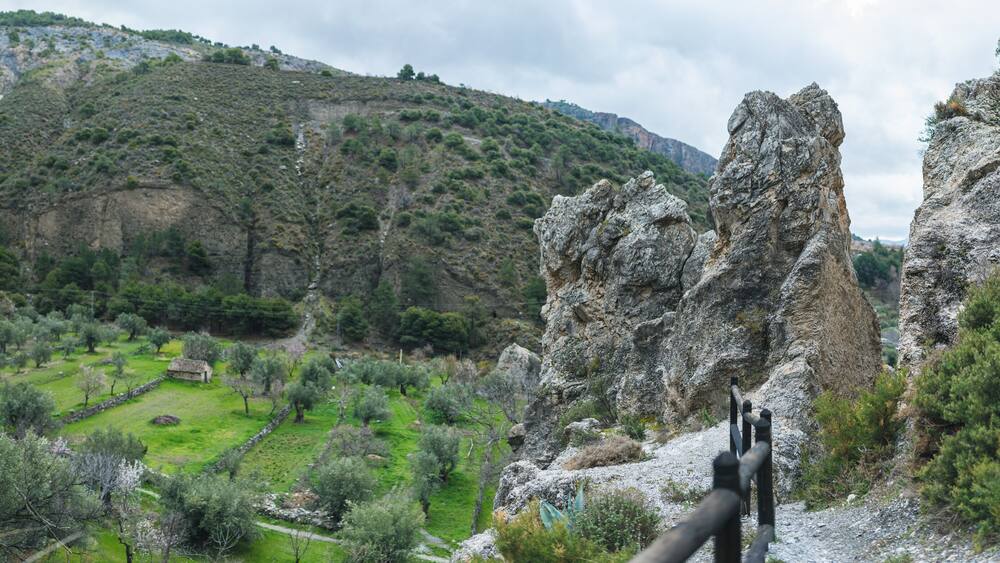 small house in a valley of olive trees