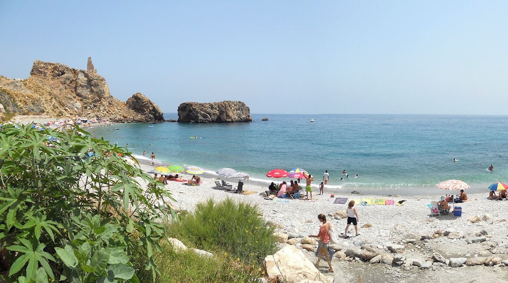 Playa La Rijana