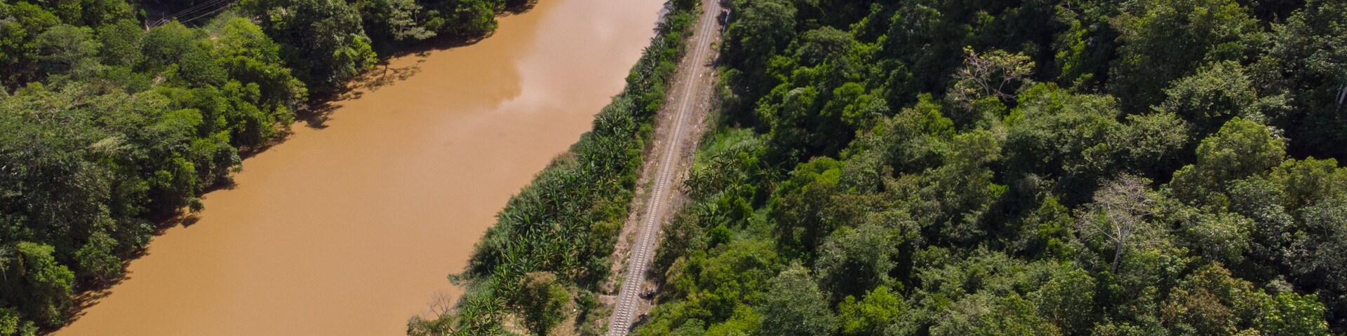 Un río serpentea a través de un bosque frondoso, con una vía de tren que lo recorre en paralelo.