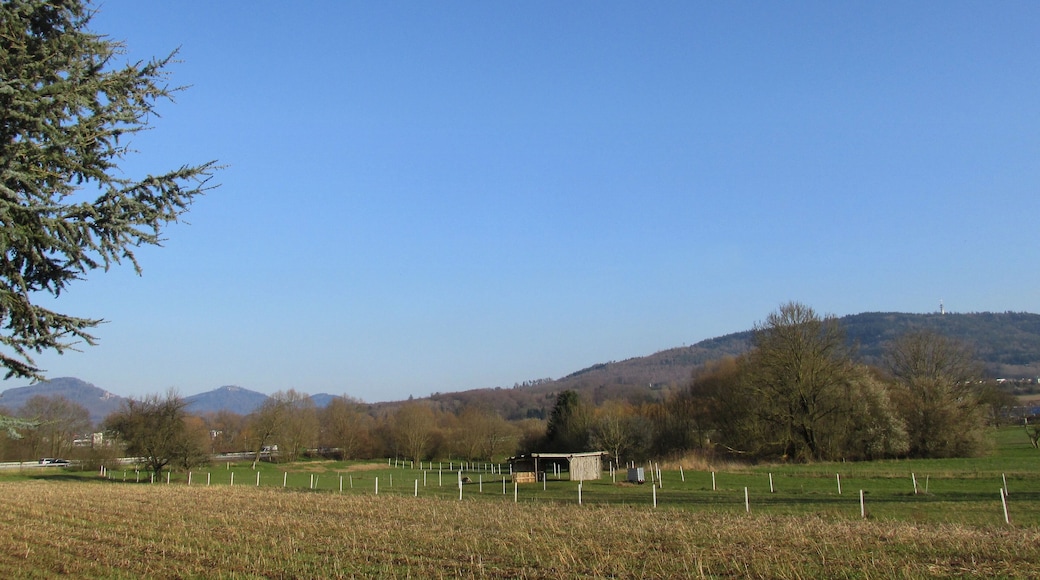 Nordschwarzwald bei Sinzheim