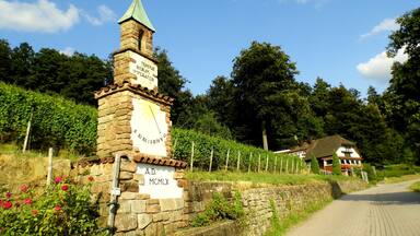 A stone clock tower with a flag on top, surrounded by greenery and a paved road.