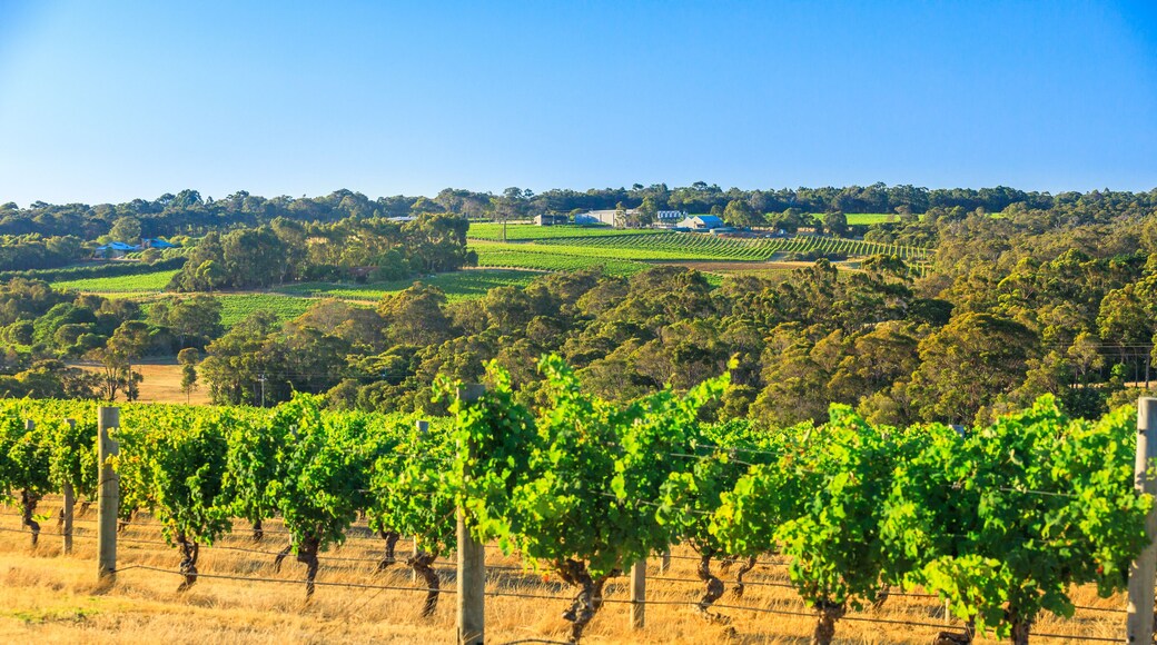 ๋ธ๋จ๋ฆฌ