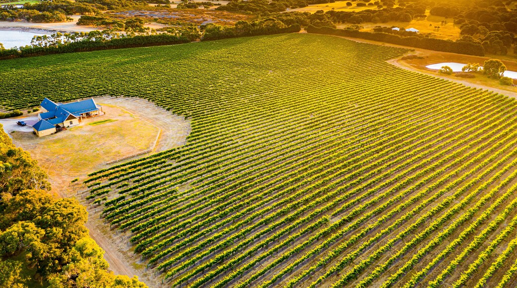 ๋ธ๋จ๋ฆฌ