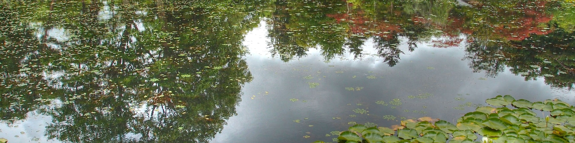 玉泉館跡地公園(Gyokusen Hall Ruins Park)