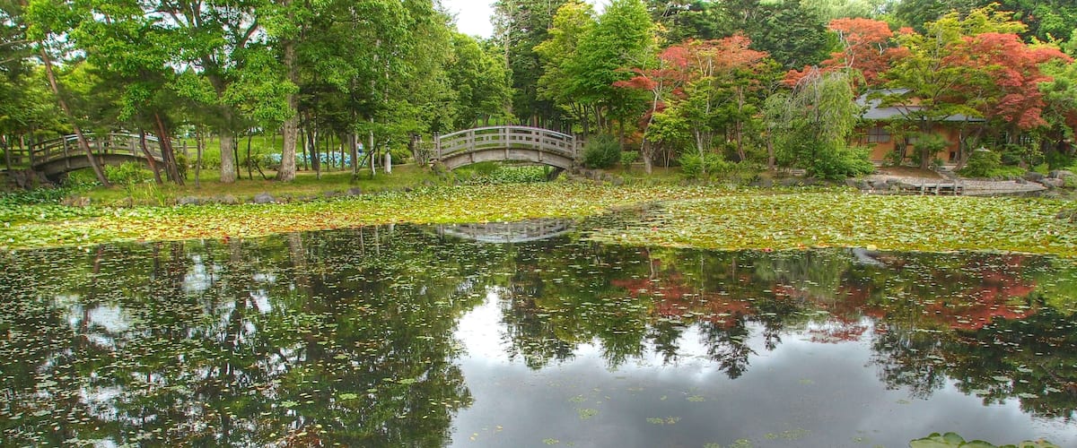 A pond with lily pads and a bridge.