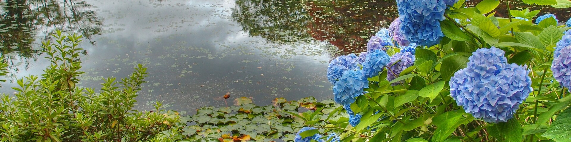 玉泉館跡地公園(Gyokusen Hall Ruins Park)