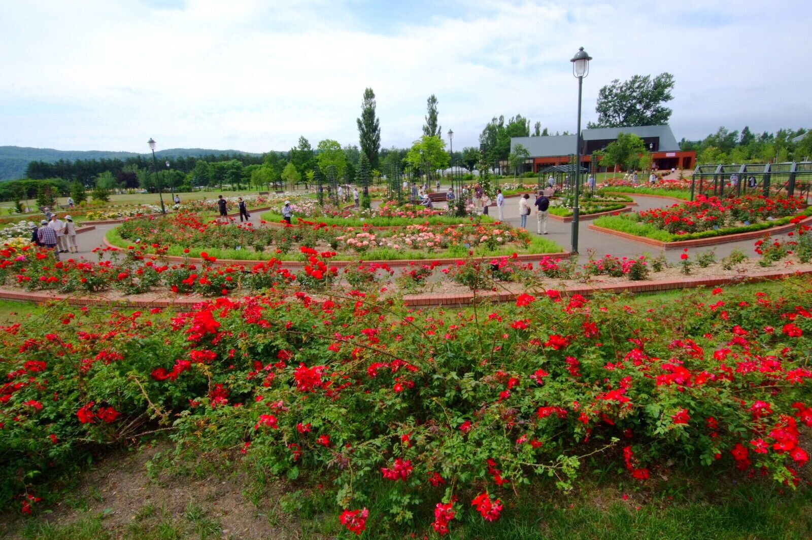 いわみざわ公園バラ園（Iwamizawa Park Rose Garden）