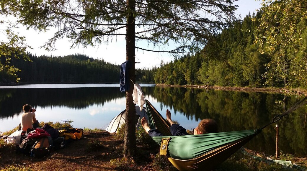 Just of the plane and in need of a place #camp we stumbled upon this gem of a spot. No one for miles, beautiful scenery, great #hiking and a lovely place to chill. Instagram - @the_rookie_explorer