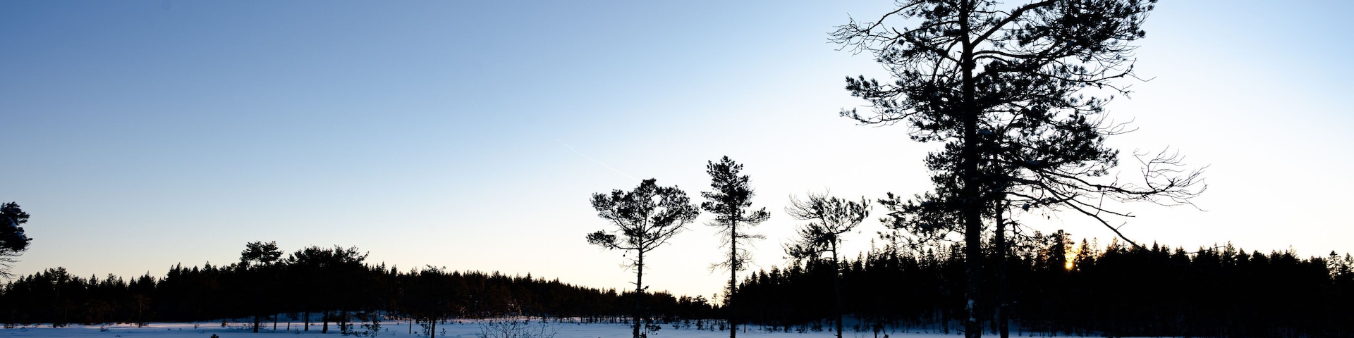 A wetland covered with snow, a snowy field that gets colder and colder at dusk, Nannestad, Norway, Norwegian winter, winter in Norway