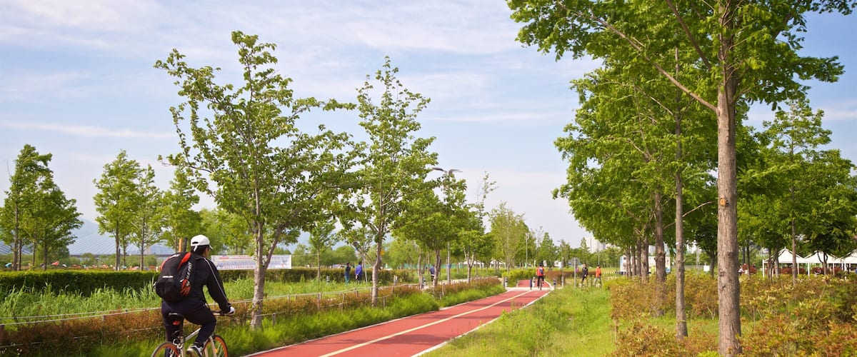 Hwamyeong featuring cycling and a garden