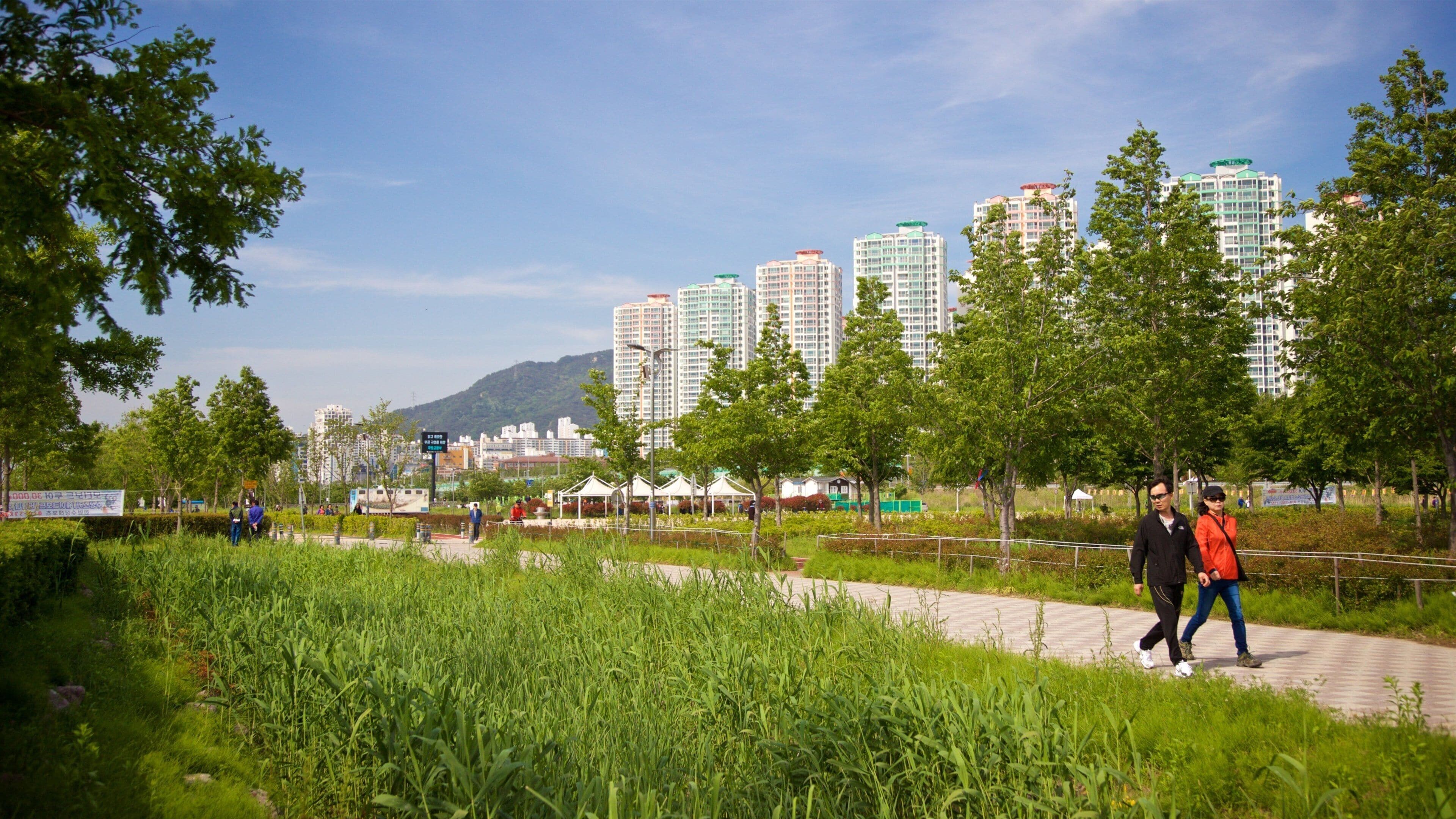 Hwamyeong showing hiking or walking and a park as well as a couple