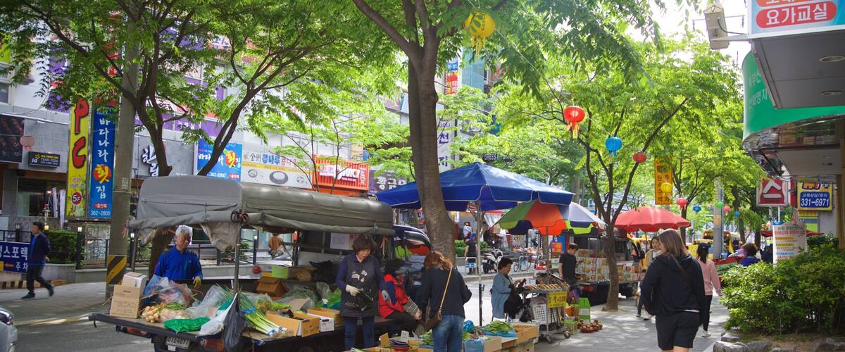 Hwamyeong which includes markets
