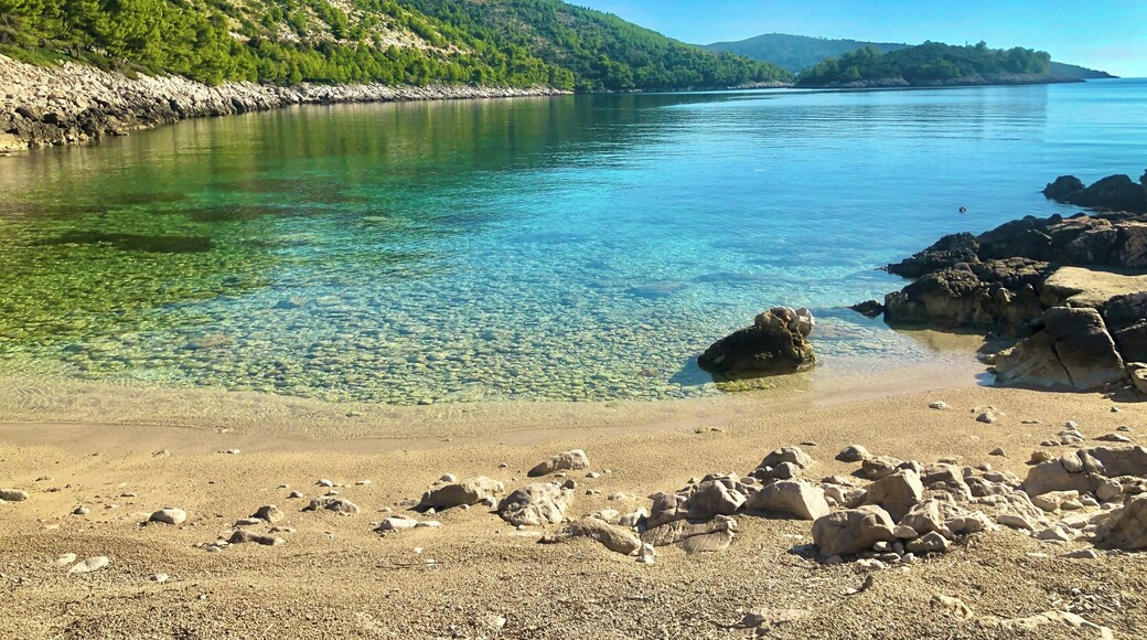 Kayaking, snorkeling & Cliff jumping