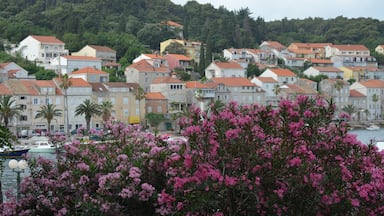 The very pretty island of Korcula in Croatia