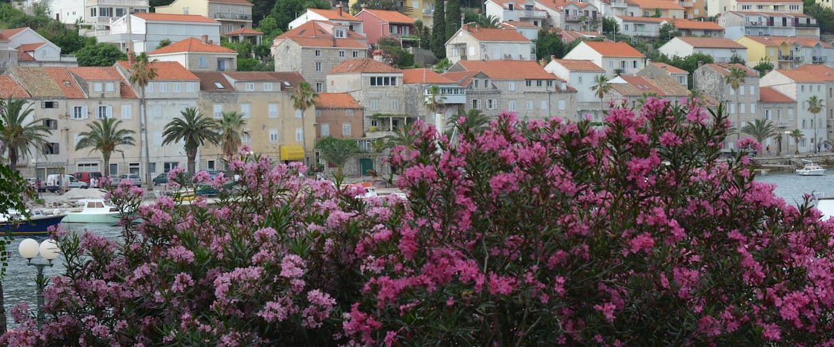 A coastal town with colorful buildings, a marina, and lush greenery.