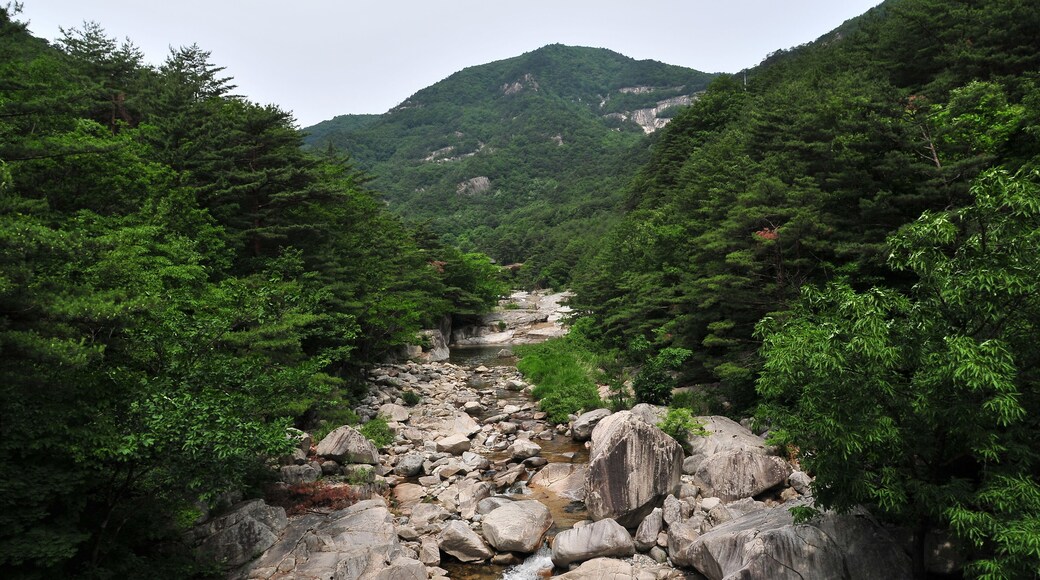Mureung Valley in Donghae City, Korea