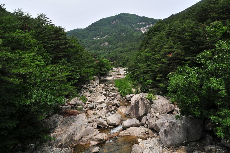 Un torrente tra rocce in una valle boscosa, con montagne sullo sfondo.