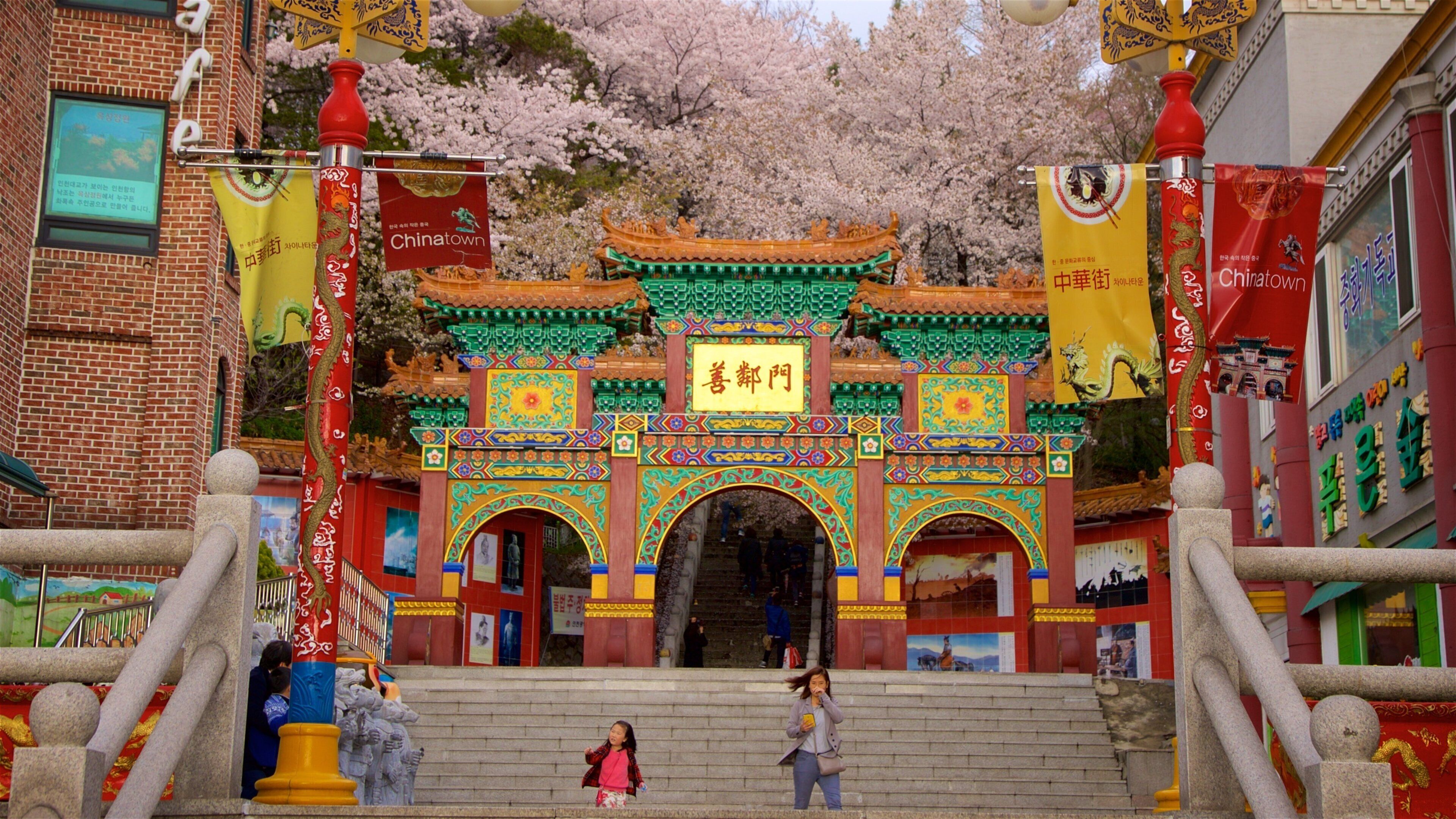 Chinatown bevat historisch erfgoed, bewegwijzering en wilde bloemen