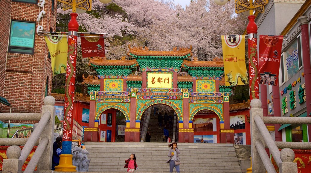 Chinatown bevat historisch erfgoed, bewegwijzering en wilde bloemen