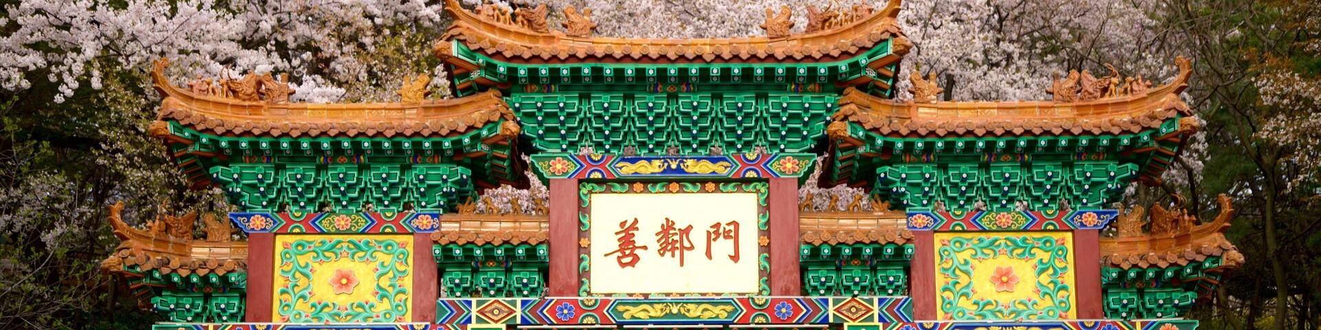 Chinatown showing wildflowers, heritage elements and signage