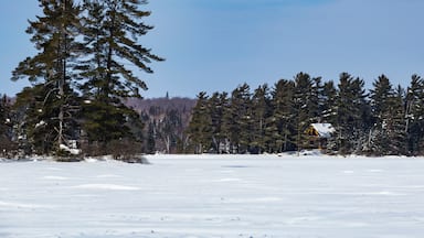 A Frozen Eagle Lake