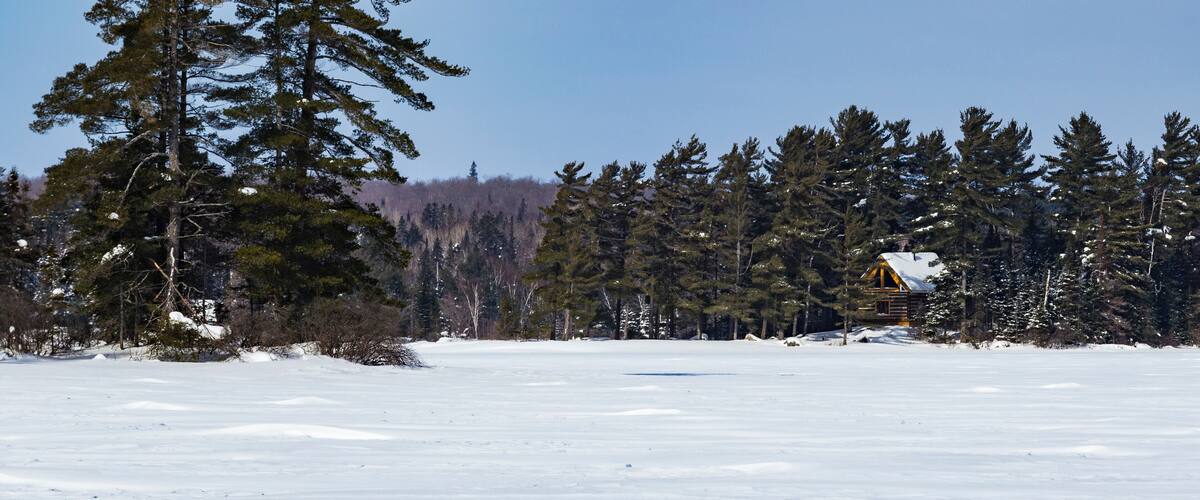 A snowy landscape with a cabin surrounded by evergreen trees.