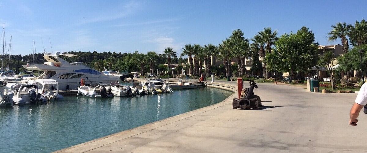 A marina with various boats docked, palm trees, and a clear blue sky.