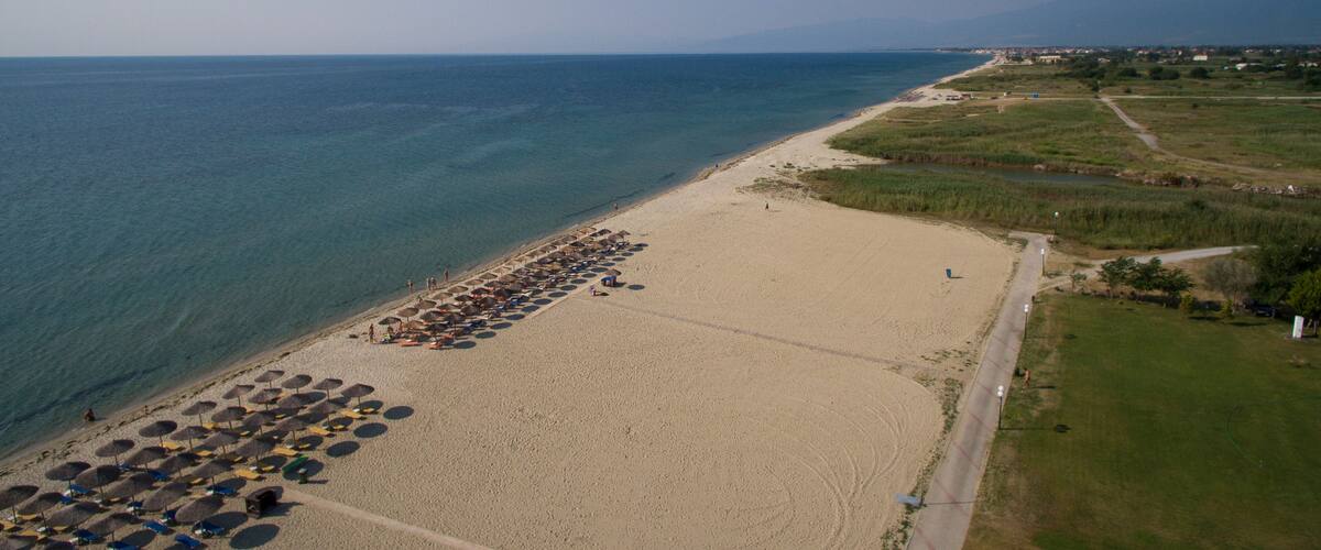 An aerial view of a beach with umbrellas and people.