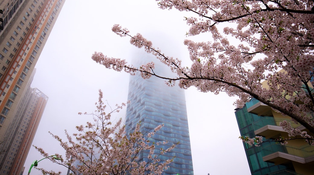 NC Cube kjøpesenter, Canal Walk fasiliteter samt tåke, by og skyskraper