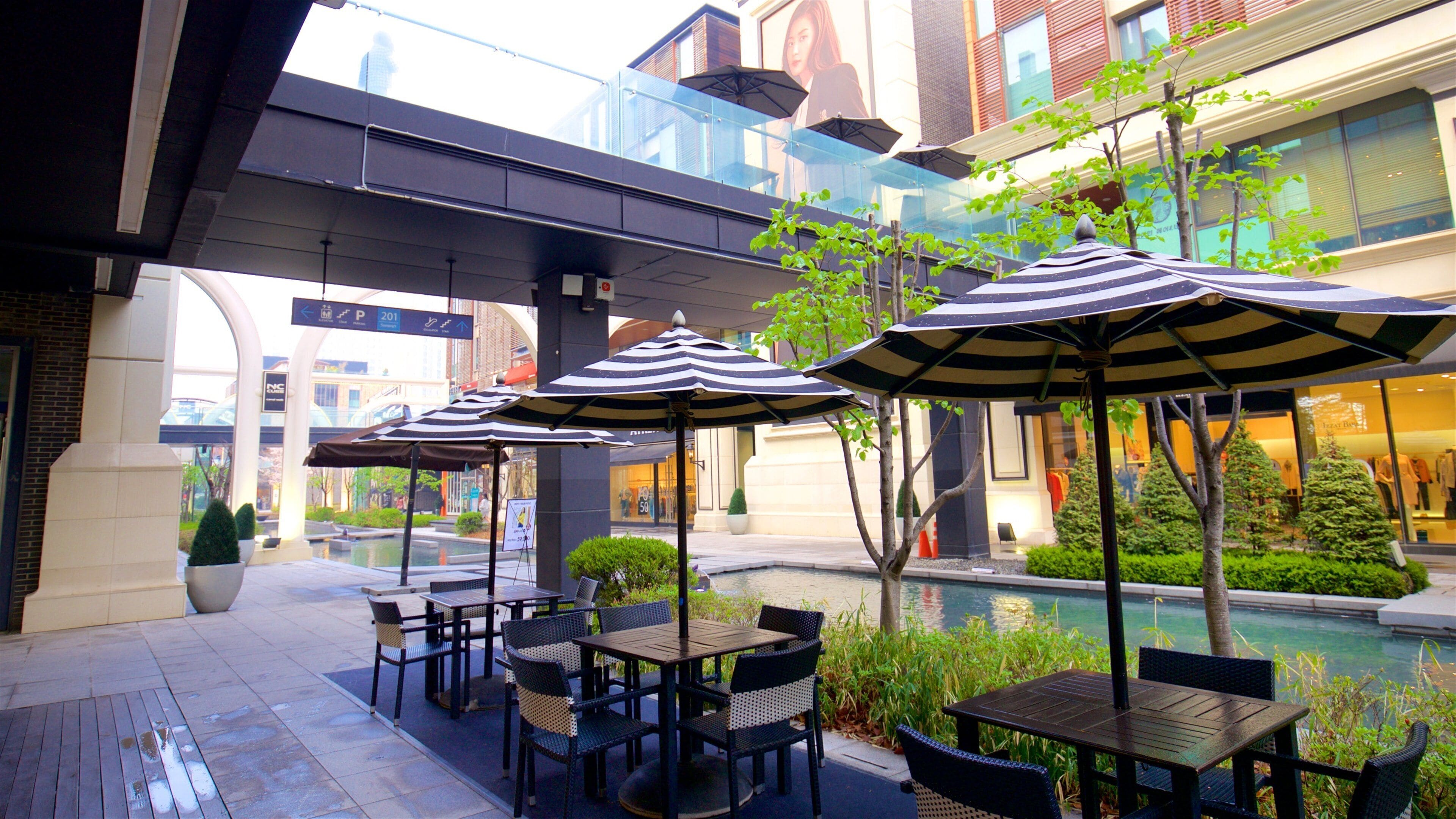 NC 큐브 커넬워크 을 보여주는 다리 과 도시